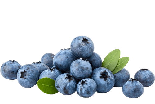 blueberries