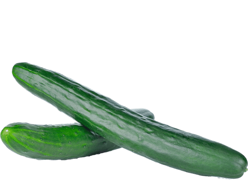 English Cucumbers