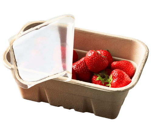 strawberry tray seal