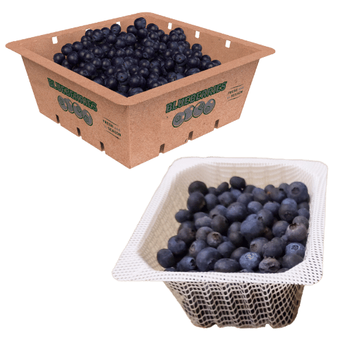 BLUEBERRY TRAY