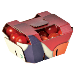 Produce Basket Tomatoes
