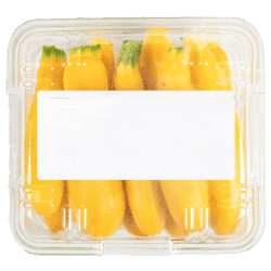 squash tray