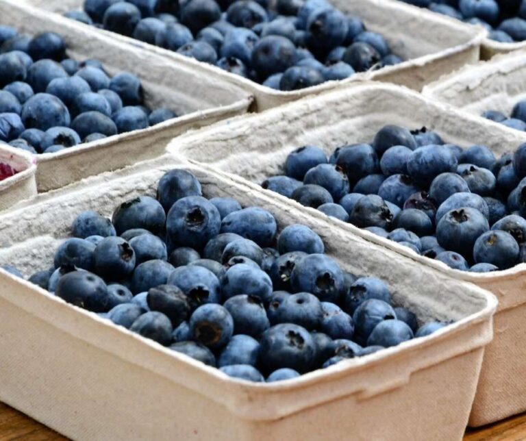 Fresh blueberries in cardboard boxes. Juicy blue berries for sale in bio recycled paper boxes. Healthy, organic food. Panoramic shot