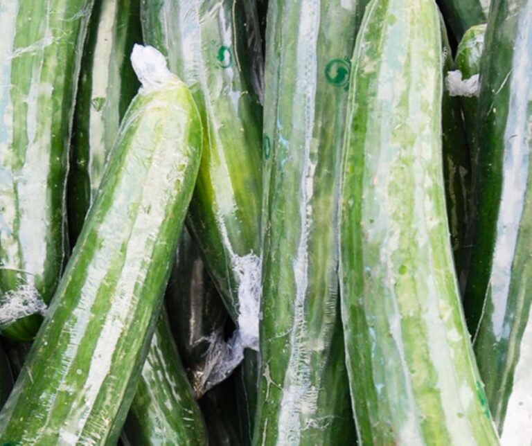 english-cucumbers-individually-wrapped-in-growpack-shrink-film - Copy