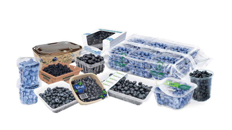 Crawford_Blueberry_Composition_V02
