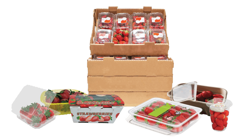 Strawberry Packaging Solutions