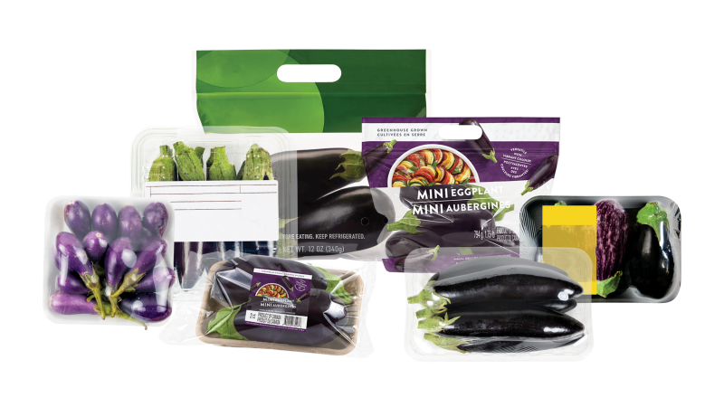 Crawford_Eggplant_Composition_V01