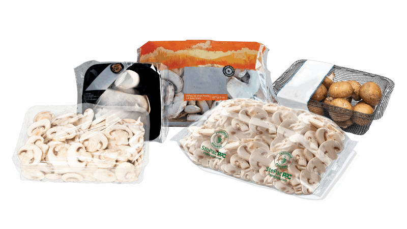 Crawford_Mushroom_Composition_V02
