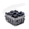 BLUEBERRY CLAMSHELL