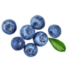 Blueberries